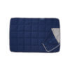 plaid chien chat