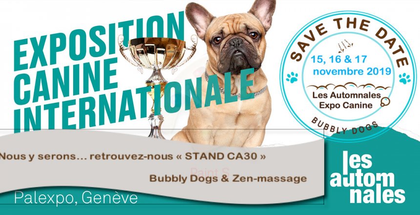 Final_exposition-canine-internationale_les-automnales_palexpo-geneve_header_page